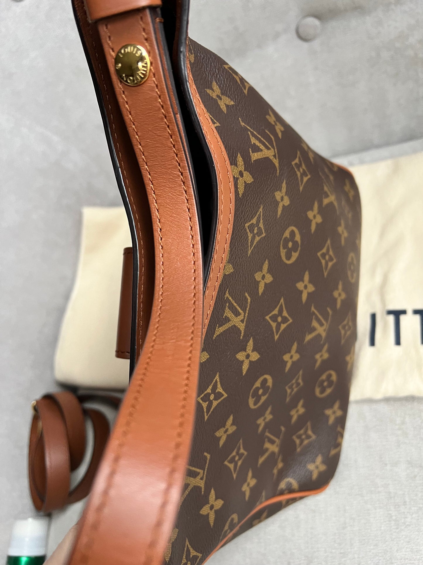 Louis Vuitton Dauphine Hobo PM (RRP £2190)