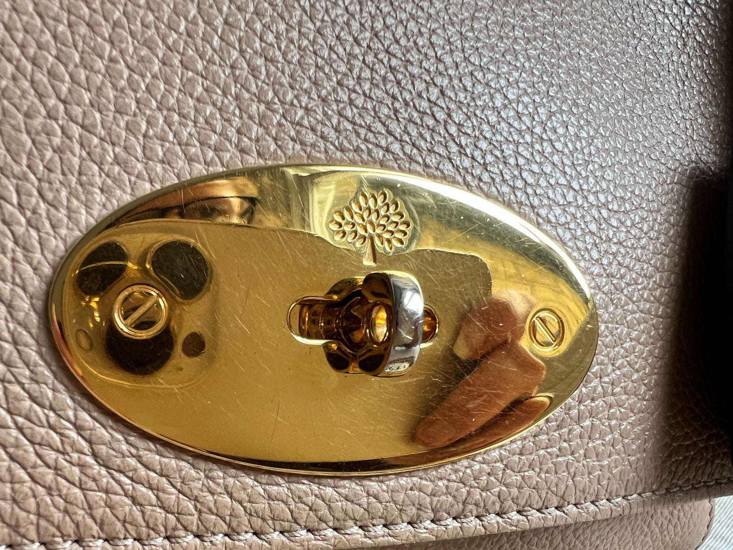 Mulberry Rosewater Regular Lily with Gold Hardware (RRP £995)