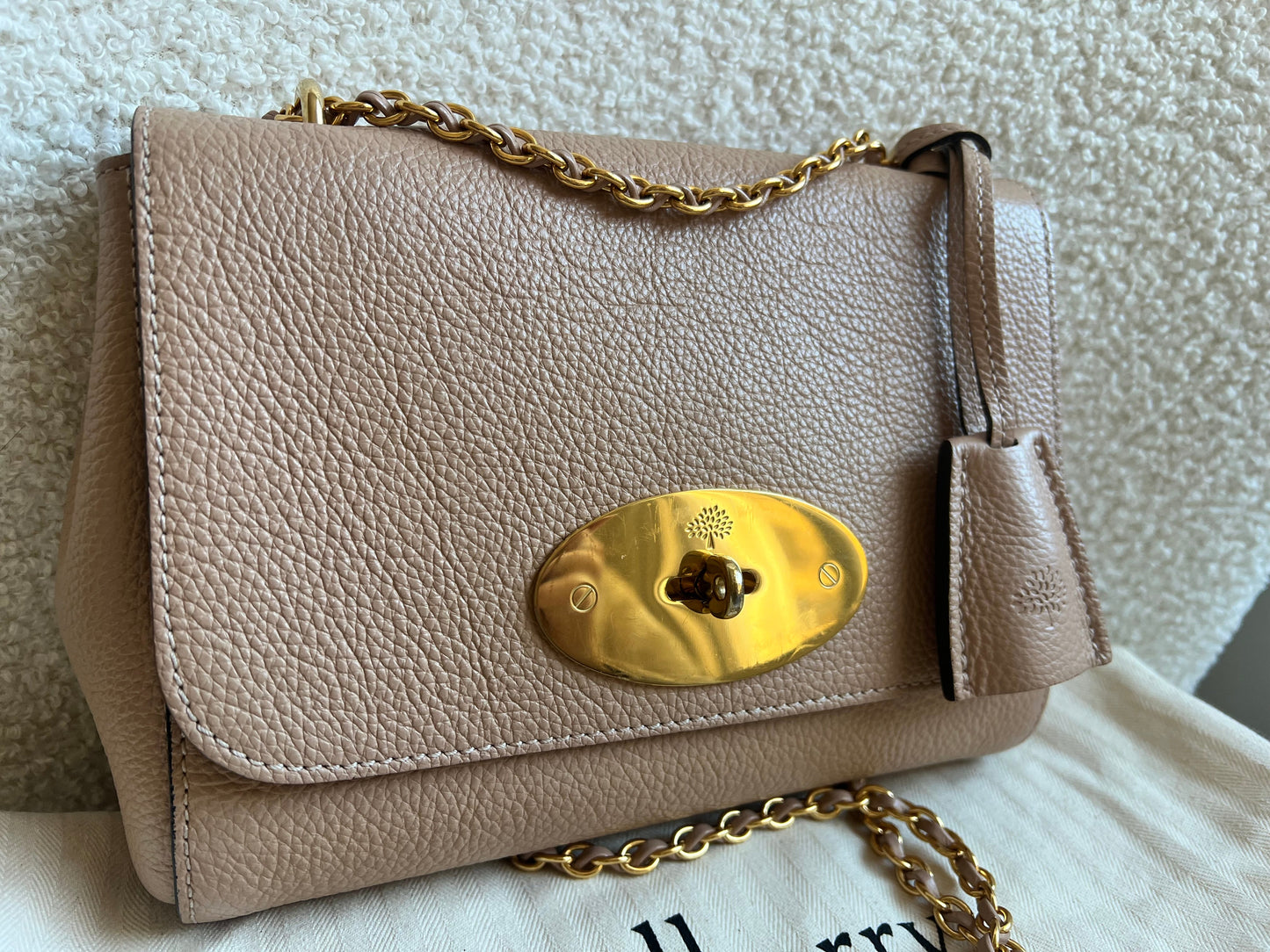 Mulberry Rosewater Regular Lily with Gold Hardware (RRP £995)