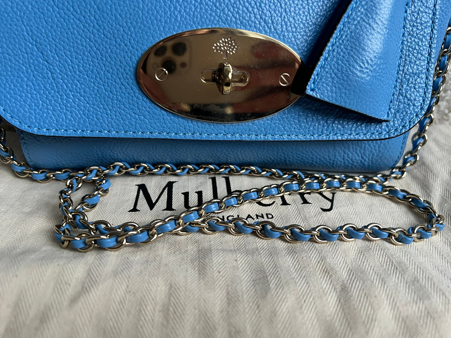 Mulberry Cornflower Blue Regular Lily with Gold Hardware (RRP £995)