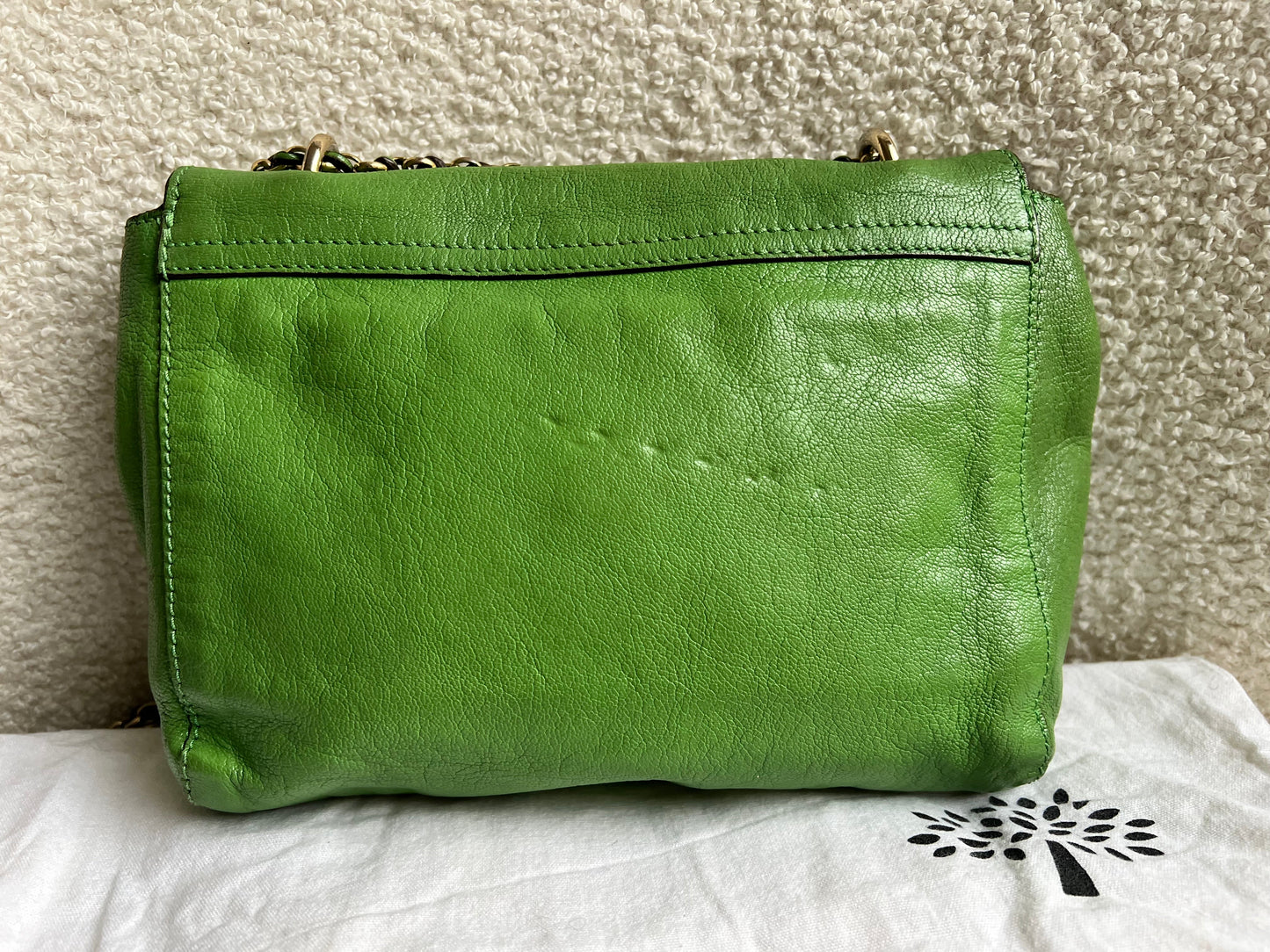 Mulberry Grass Green Regular Lily with Gold Hardware (RRP £895)