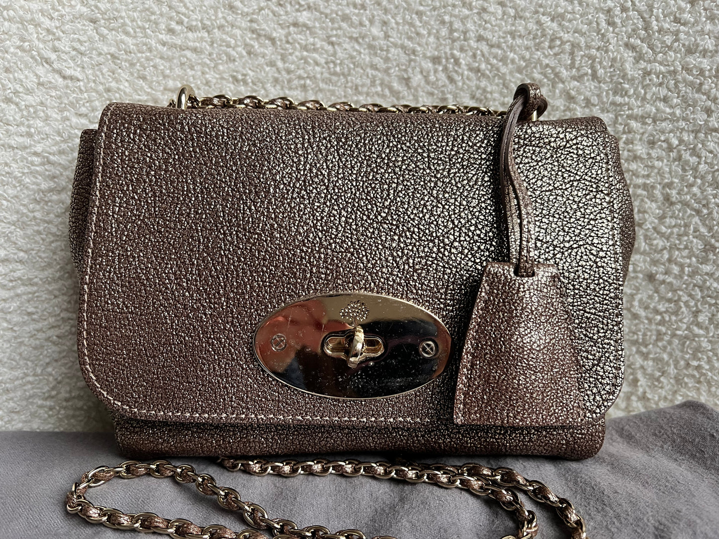 Mulberry Metallic Mushroom Regular Lily with Gold Hardware (RRP £995)
