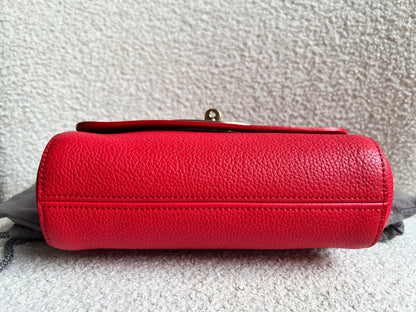 Mulberry Hibiscus Red Regular Lily with Gold Hardware (RRP £995)