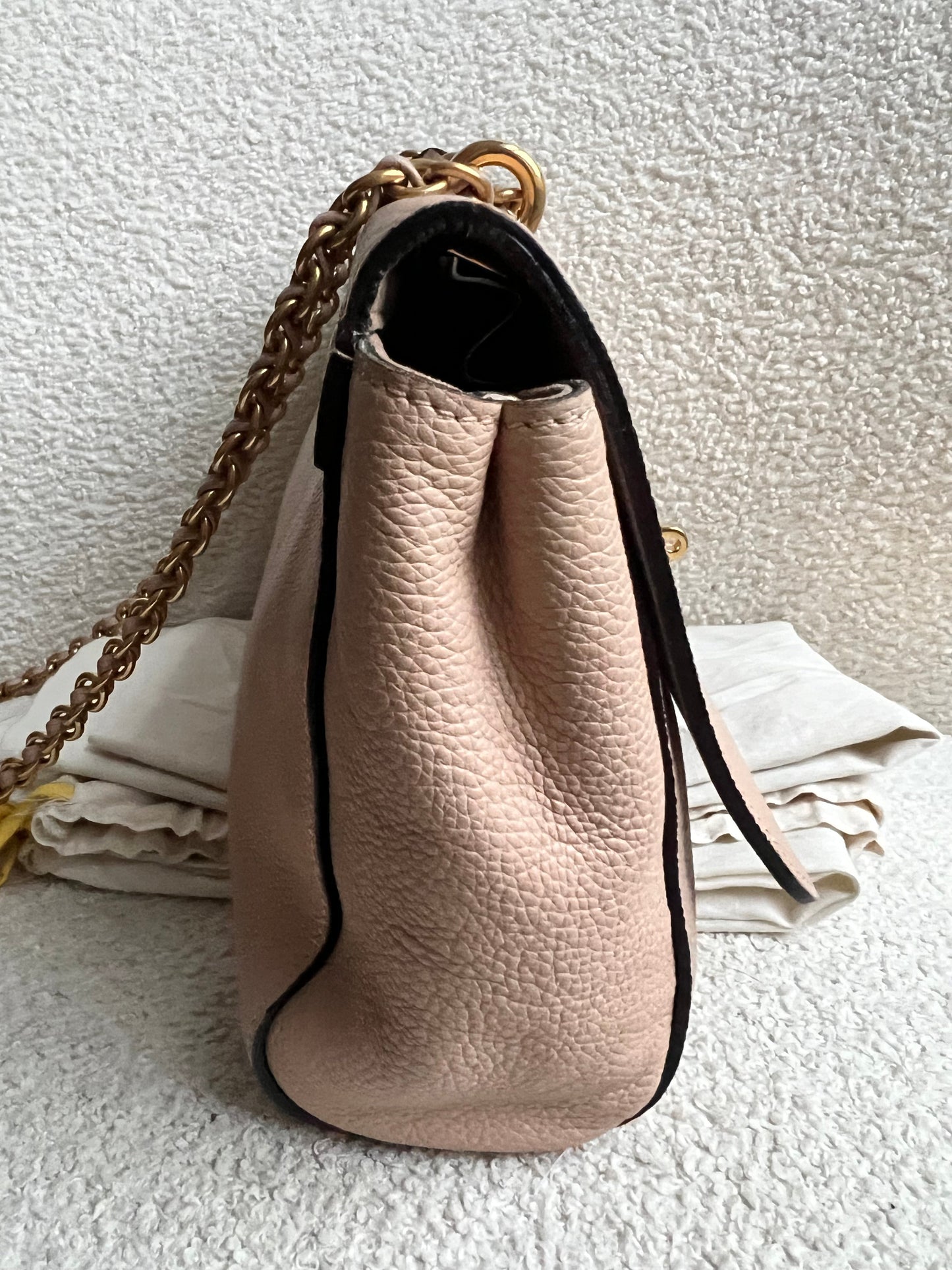 Mulberry Rosewater Medium Lily with Gold Hardware (RRP £1095)
