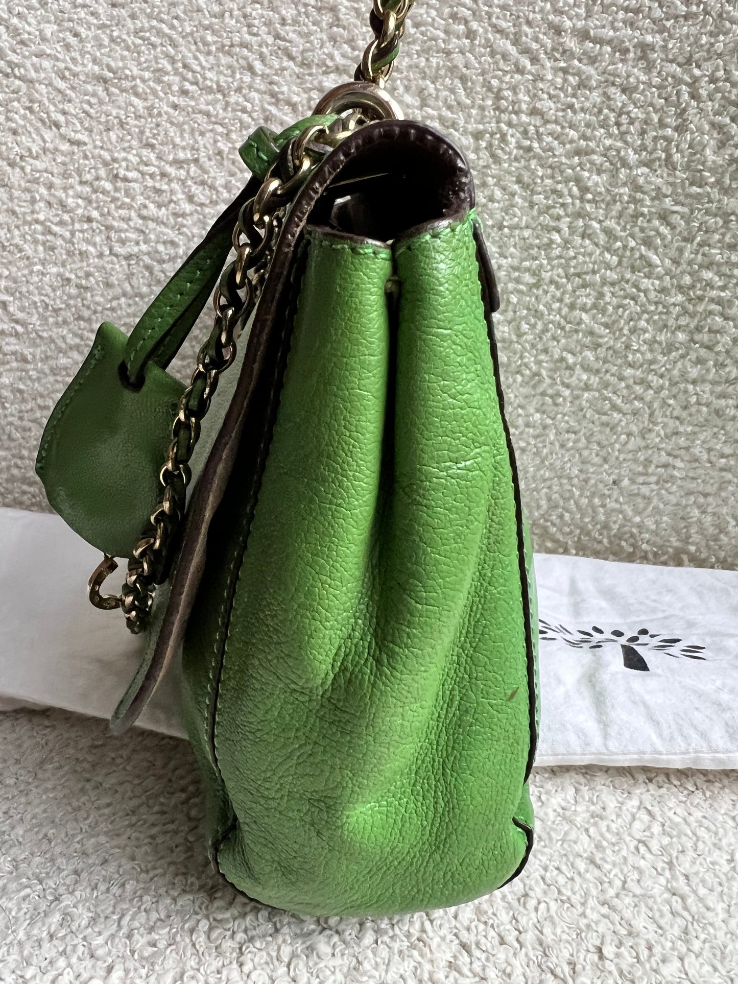 Mulberry Grass Green Regular Lily with Gold Hardware (RRP £895)