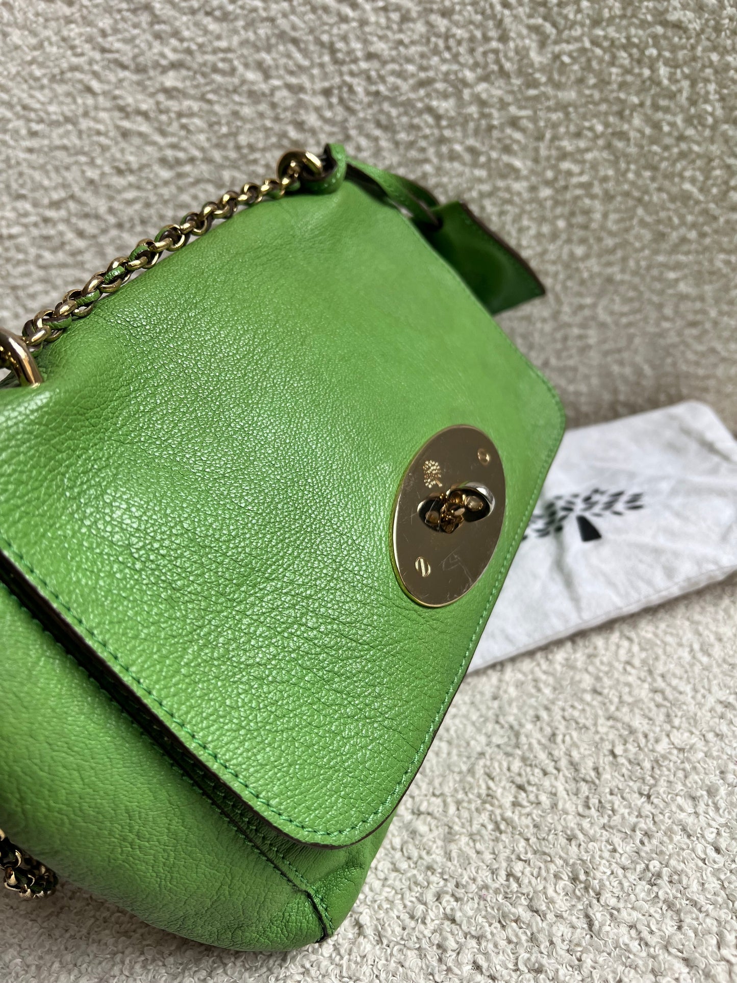 Mulberry Grass Green Regular Lily with Gold Hardware (RRP £895)
