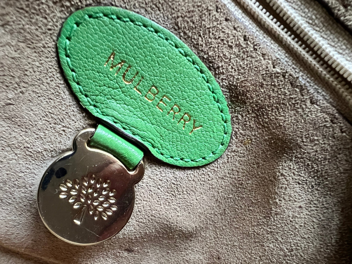 Mulberry Grass Green Regular Lily with Gold Hardware (RRP £895)