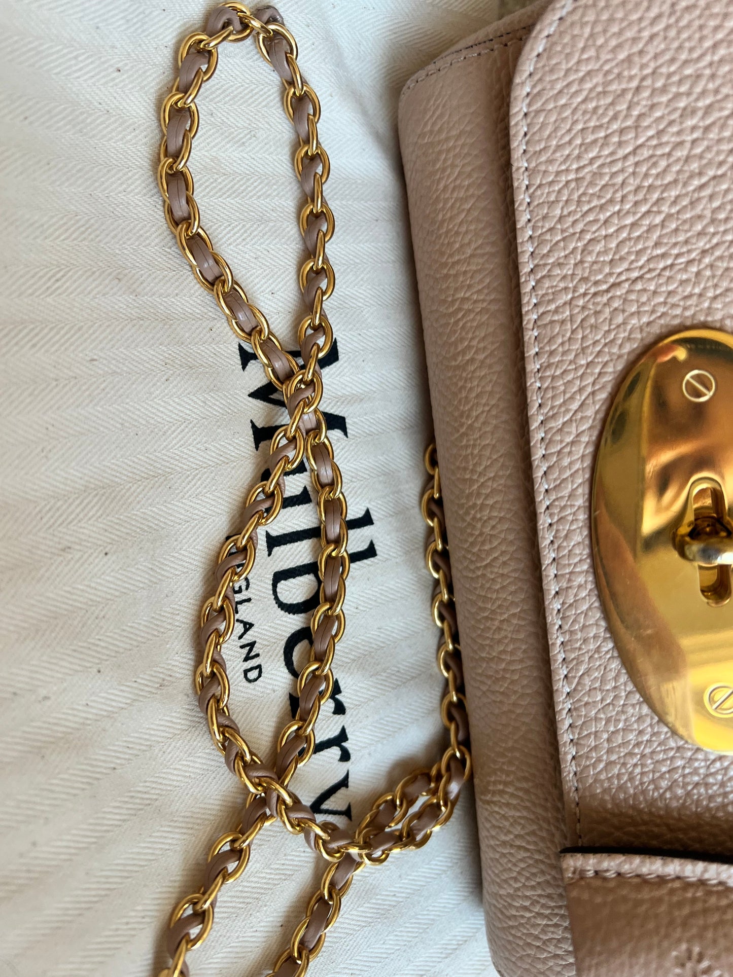Mulberry Rosewater Regular Lily with Gold Hardware (RRP £995)