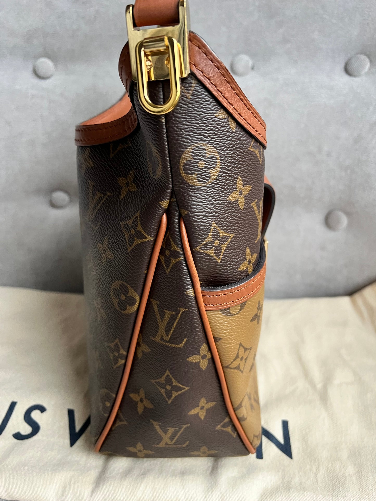 Louis Vuitton Dauphine Hobo PM (RRP £2190)