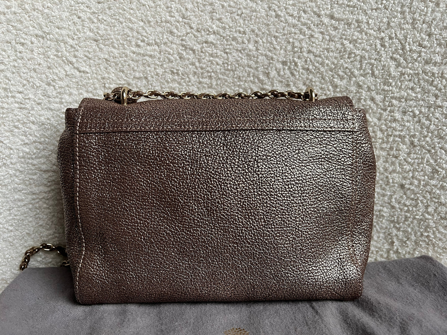 Mulberry Metallic Mushroom Regular Lily with Gold Hardware (RRP £995)