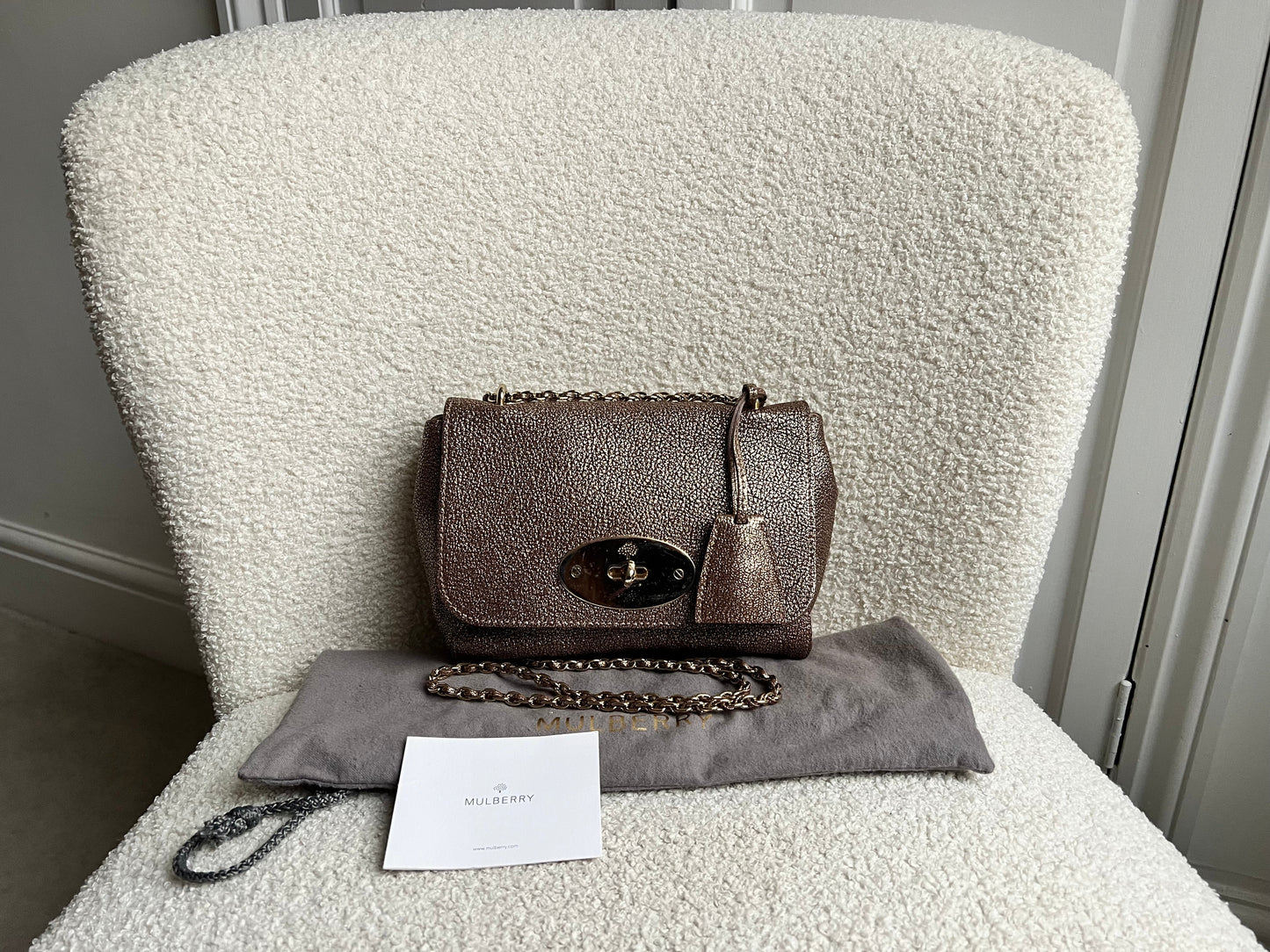 Mulberry Metallic Mushroom Regular Lily with Gold Hardware (RRP £995)