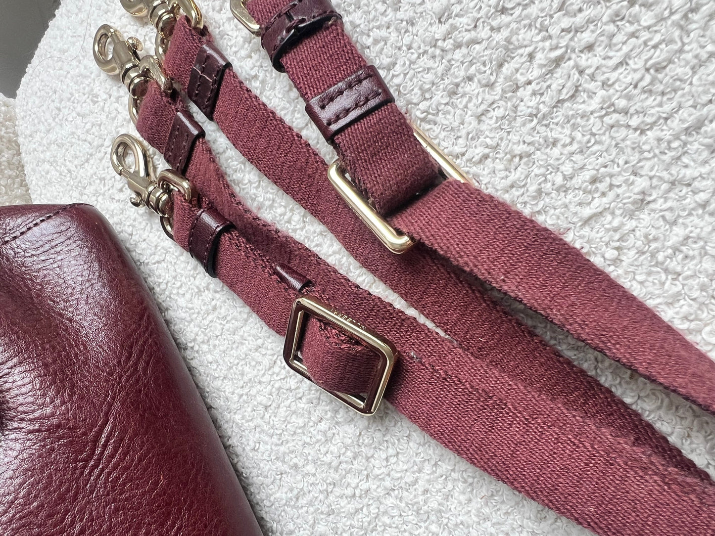 Mulberry Oxblood Mini Cara Backpack (RRP £850)