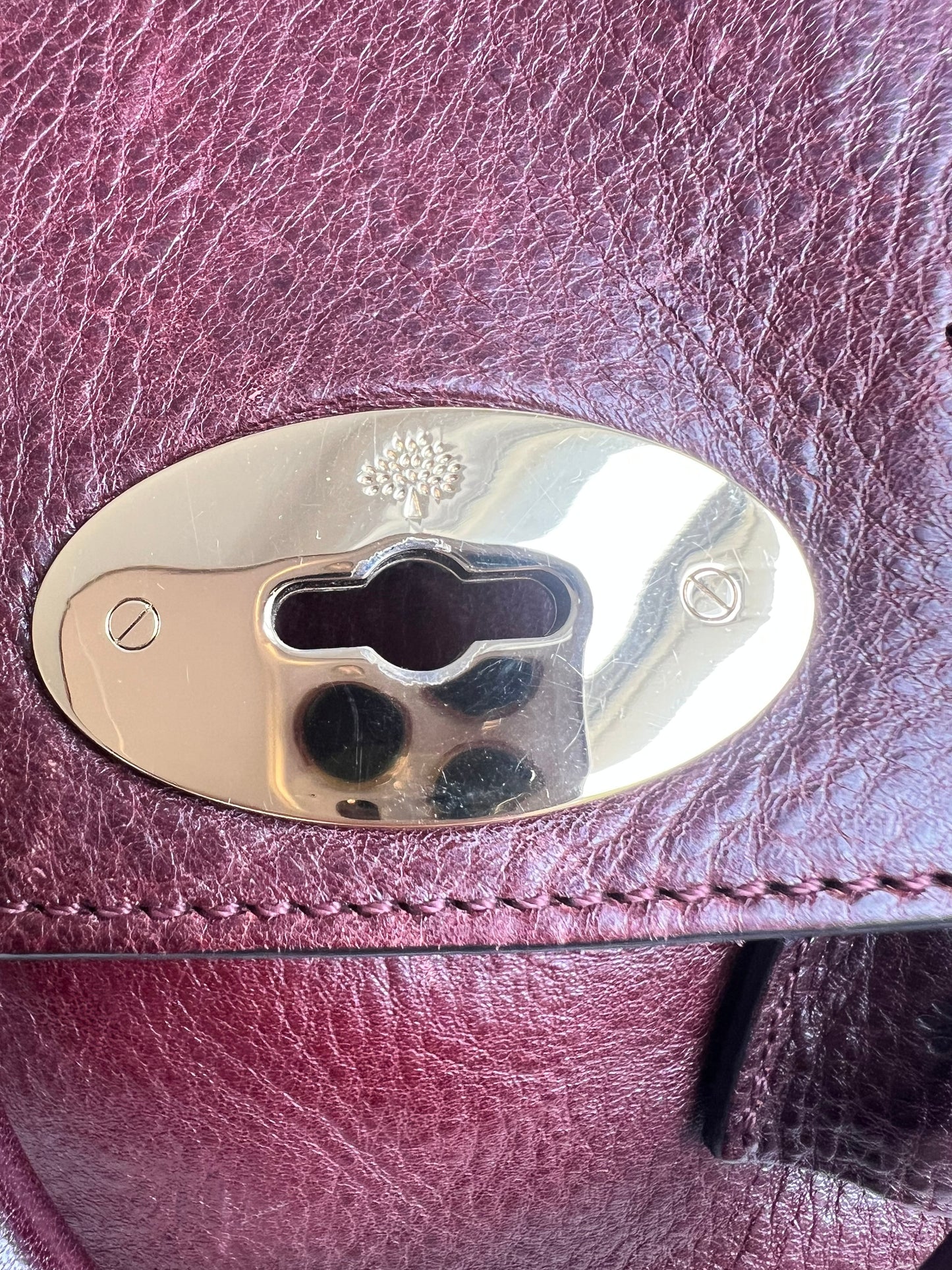 Mulberry Oxblood Mini Cara Backpack (RRP £850)