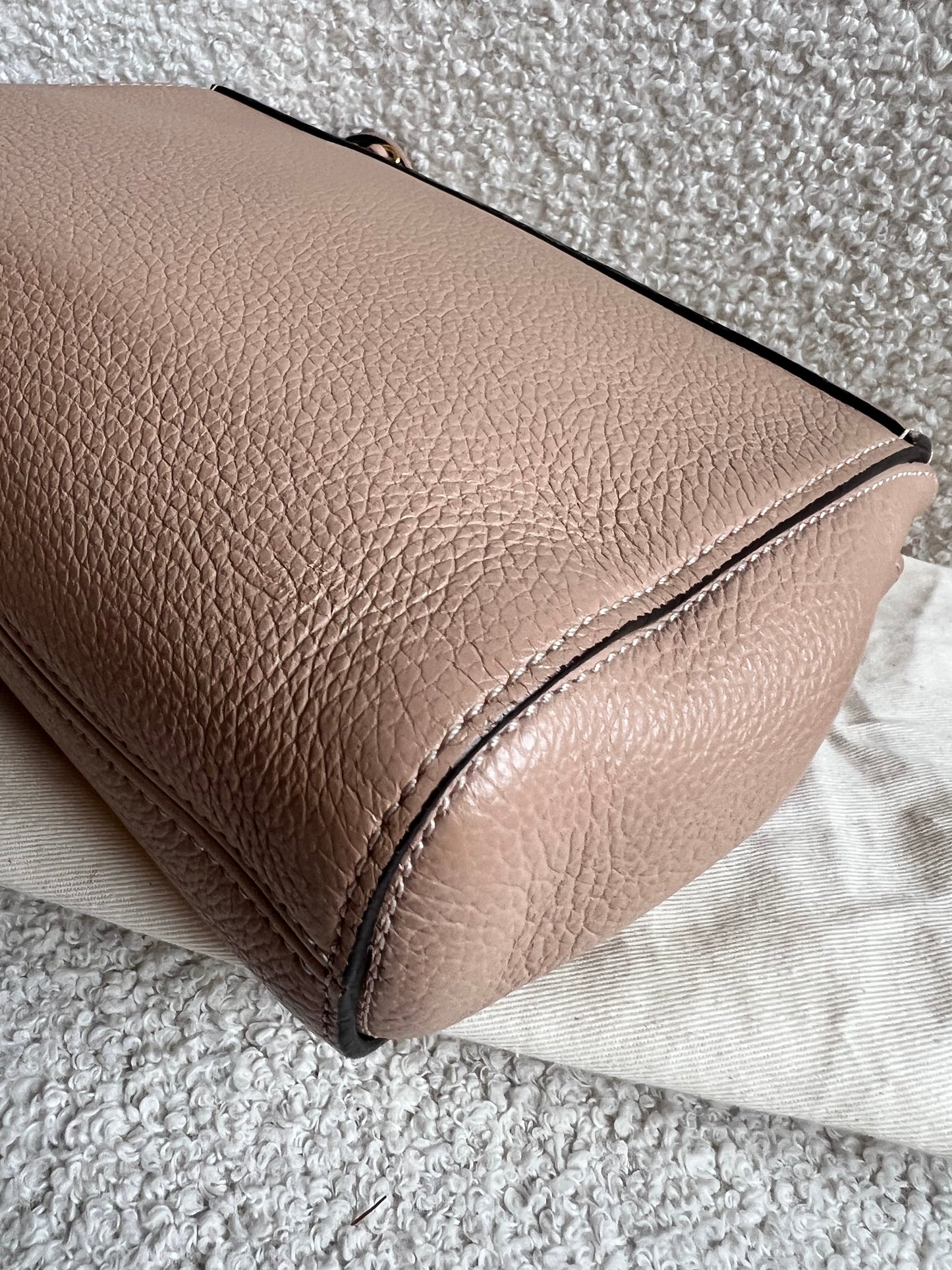 Mulberry Rosewater Regular Lily with Gold Hardware (RRP £995)