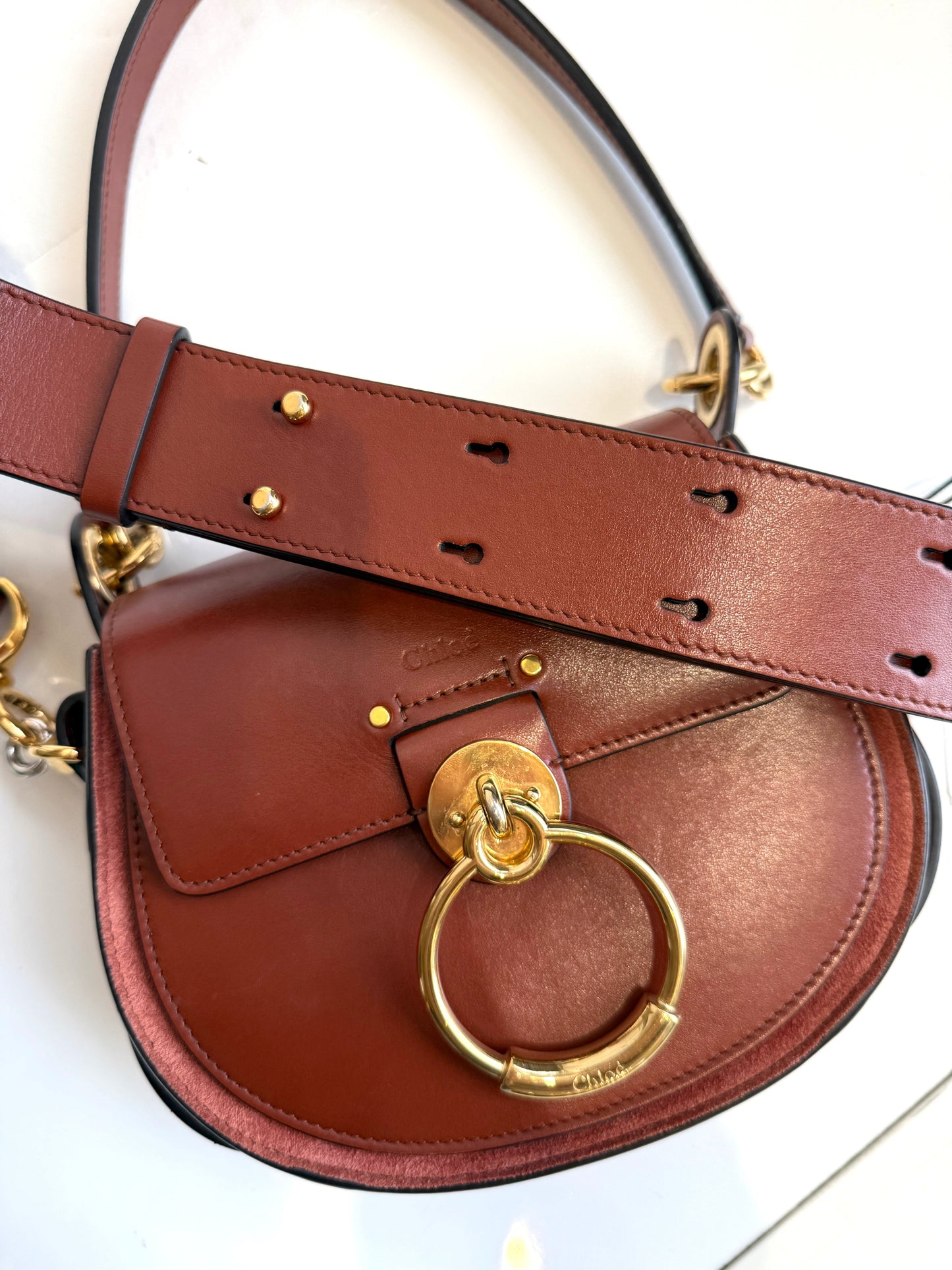 Tess Small Crossbody Bag in Sepia Brown