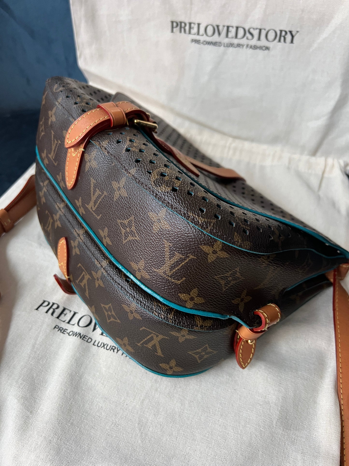 Limited Edition Monogram Flore Perforated Saumur Bag