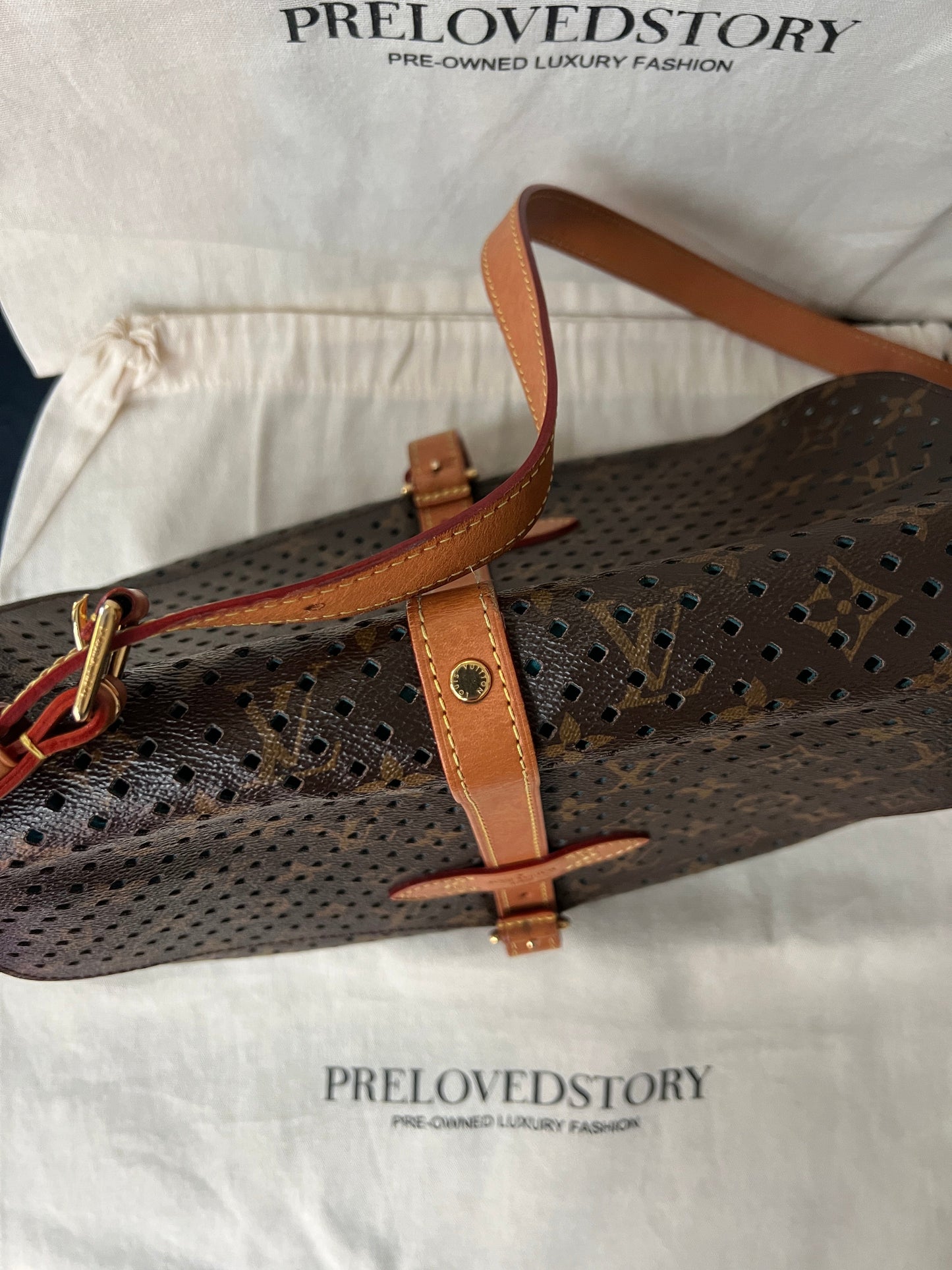 Limited Edition Monogram Flore Perforated Saumur Bag
